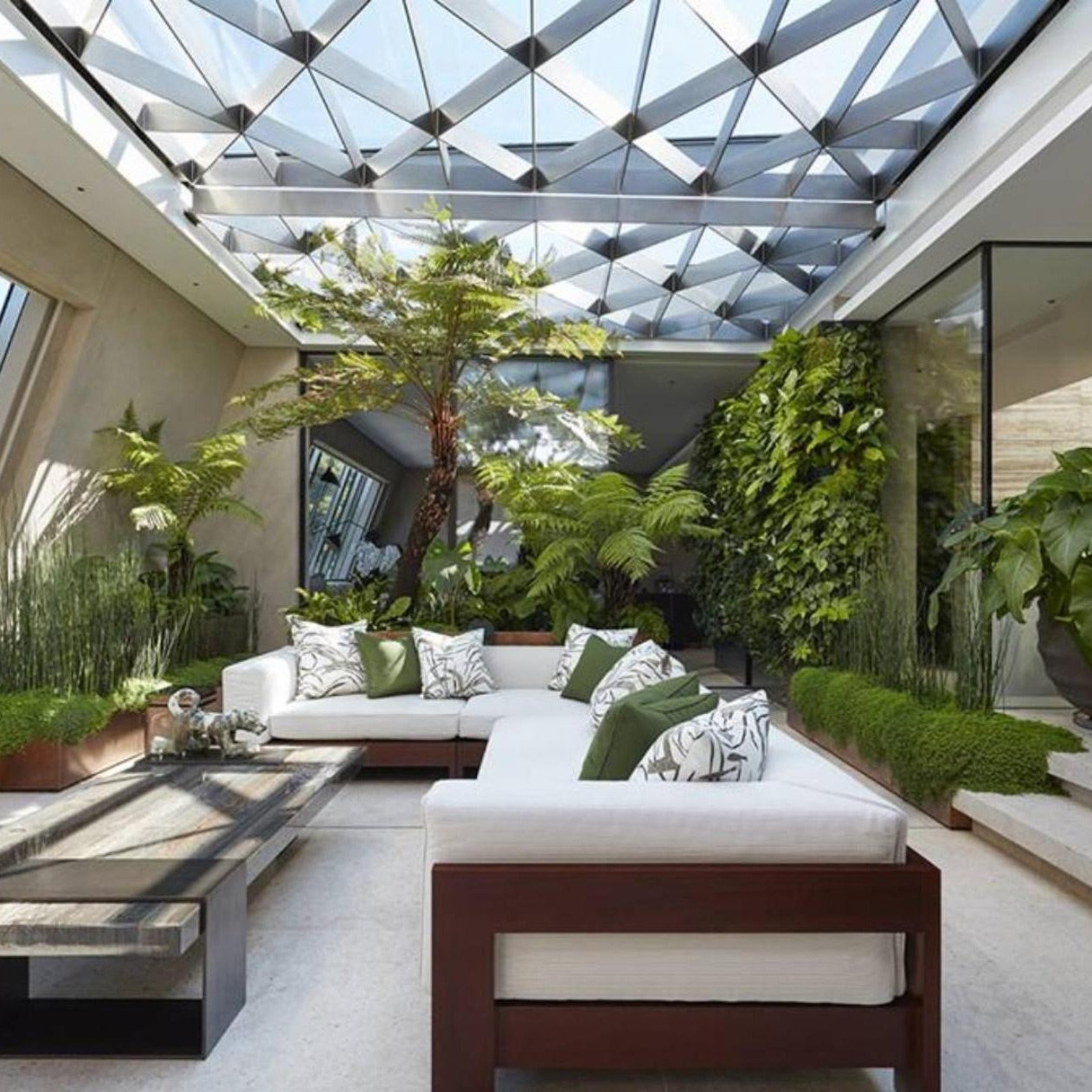 Put rain forest in your living room