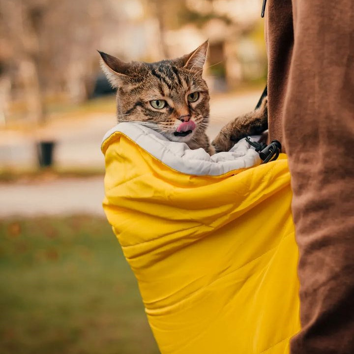 Crossbody Cat Carrier - Cotton - Pink - Yellow from Apollo Box