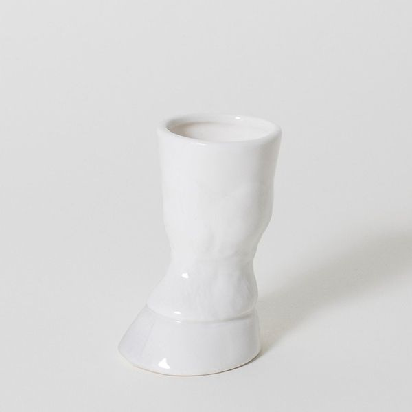 Wild Side Shot Glass - ApolloBox