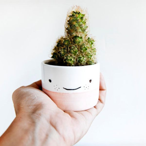 Smiling Faces Mini Pots - ApolloBox