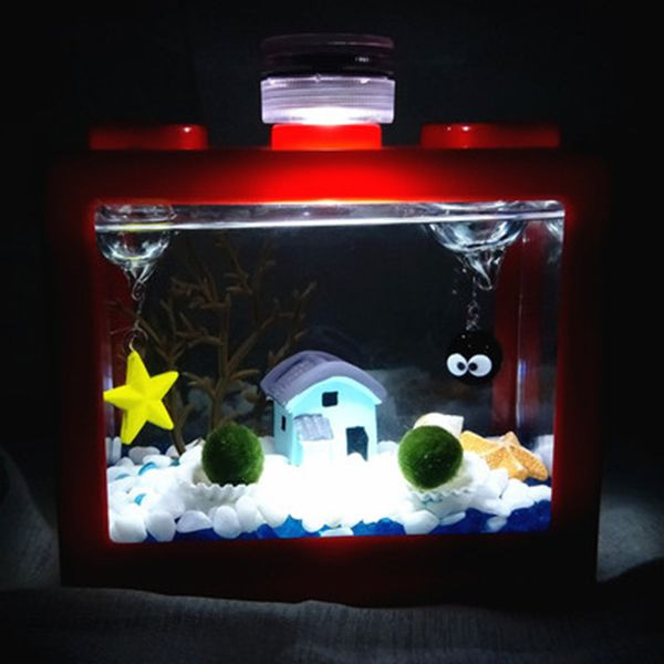 Marimo DIY Terrarium with LED Light from Apollo Box