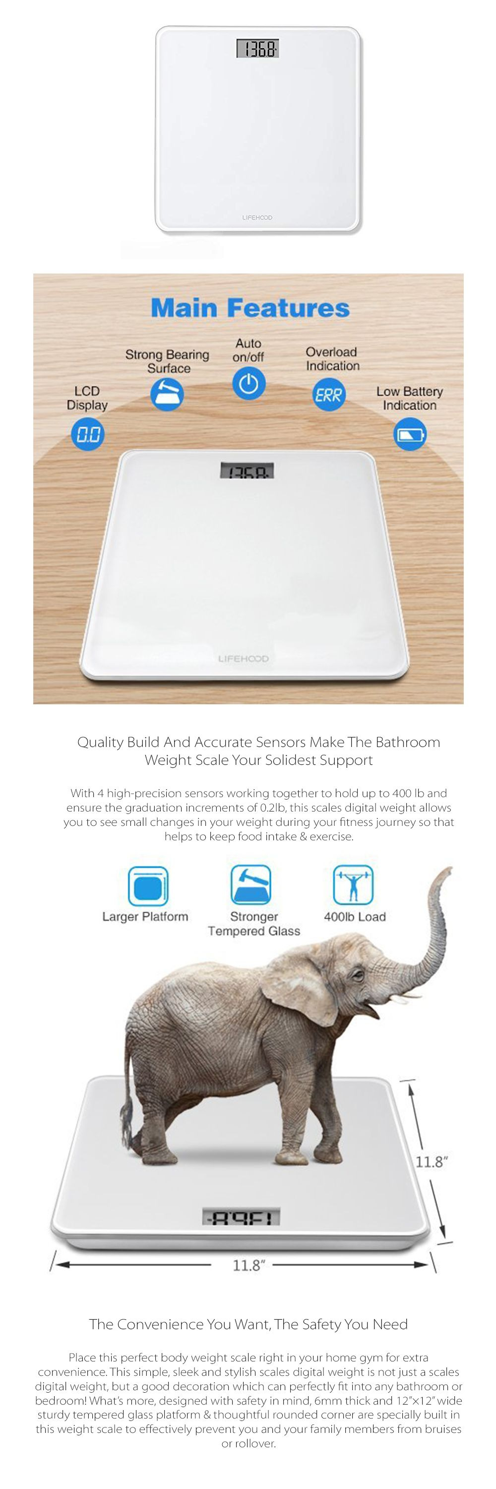 Digital Bathroom Scale - ApolloBox