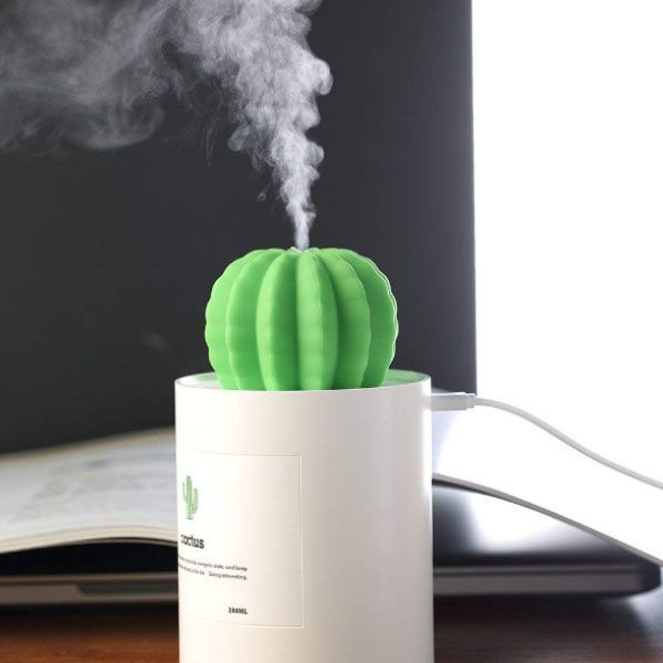 Mini Cactus LED USB Humidifier – Sage & Sill