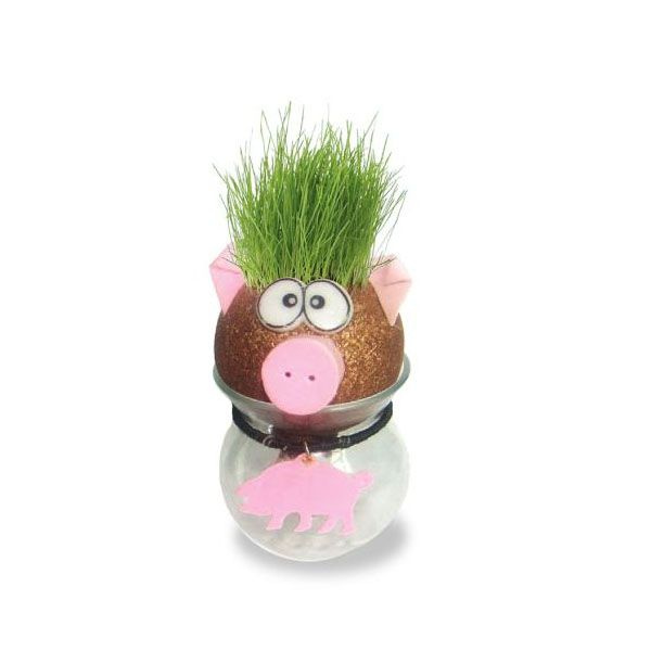 How Long Do Grass Heads Take To Grow at Jeffrey Douglas blog