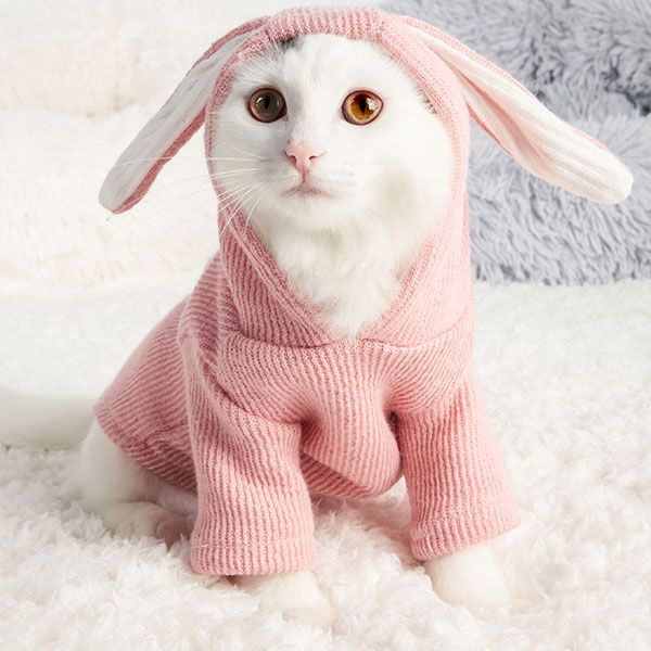 Bunny Ear Sweater - Polyester - Pink - Gray - 3 Sizes - ApolloBox