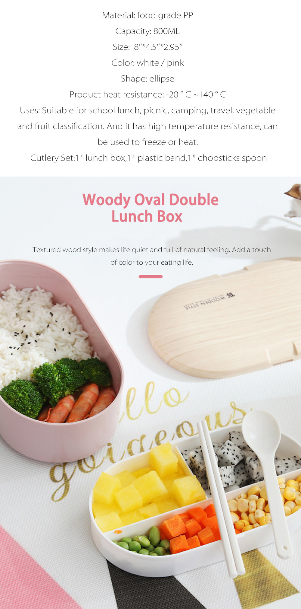 Bento Sandwich Box - Take Your Lunch - For Kids And Adults - ApolloBox