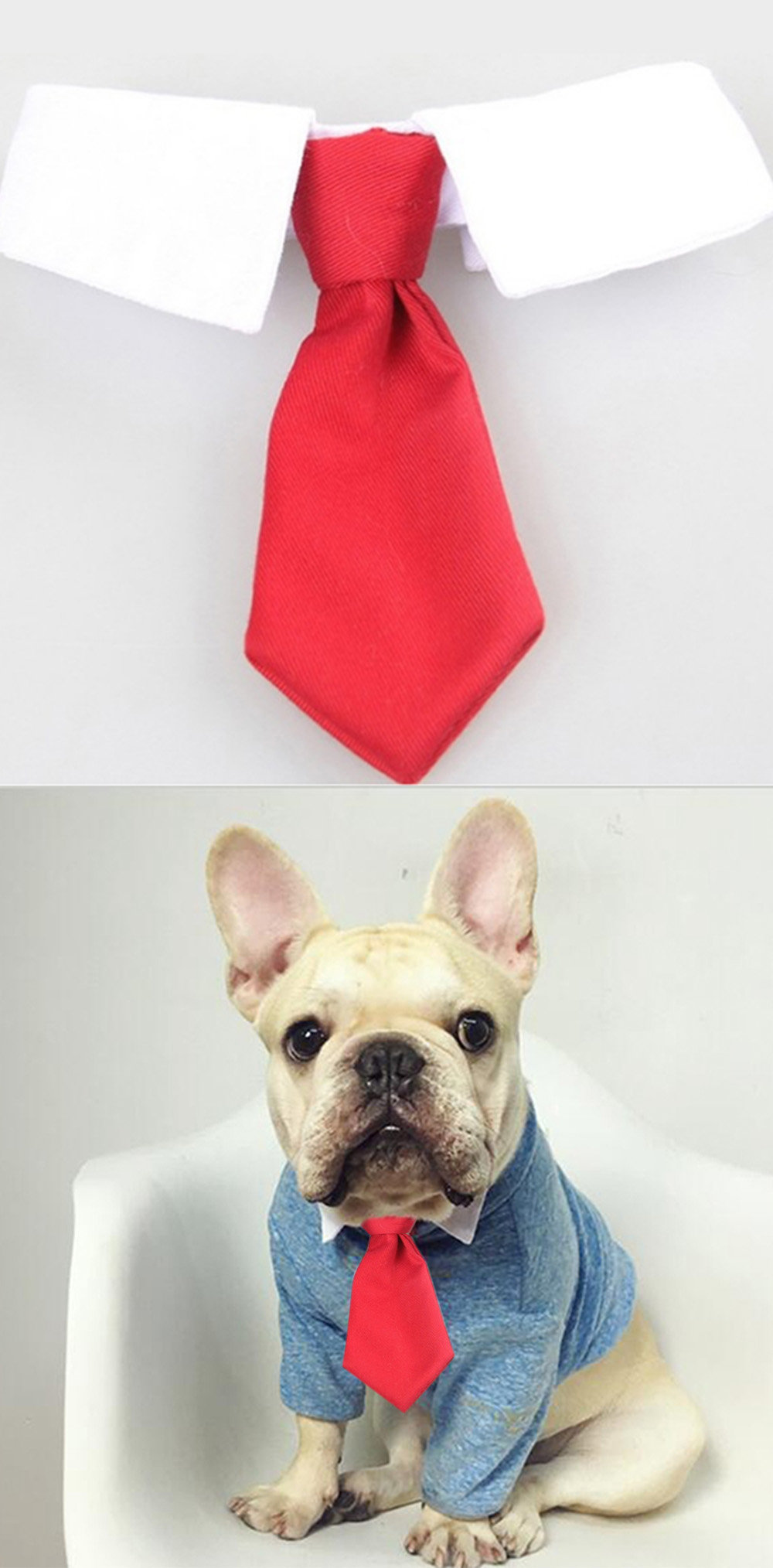 Cute Dog Collar & Tie - ApolloBox