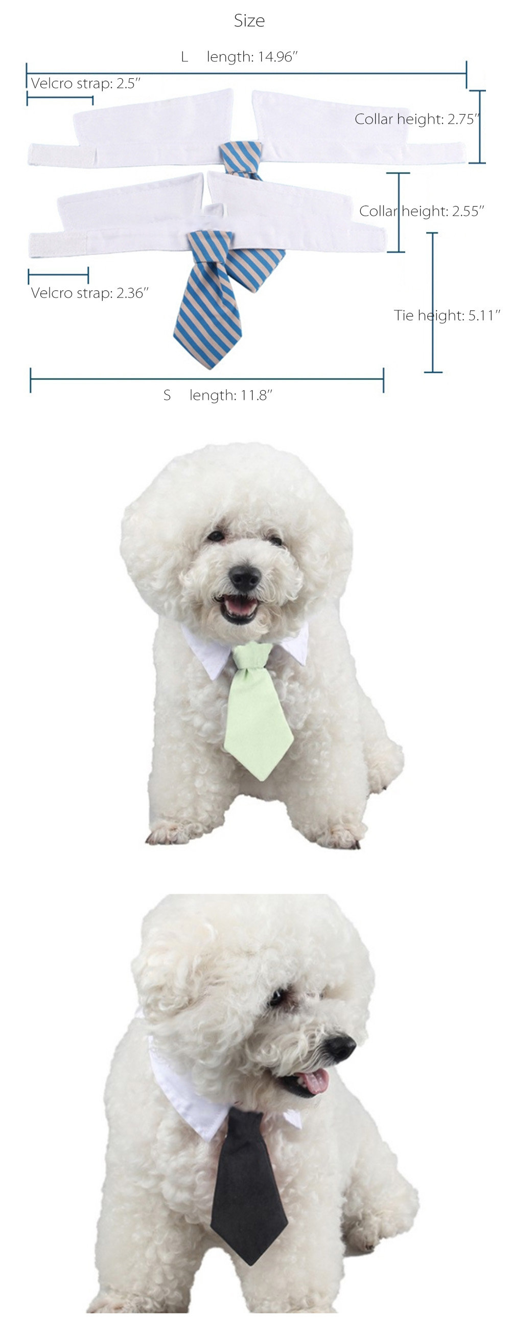 Cute Dog Collar & Tie - ApolloBox