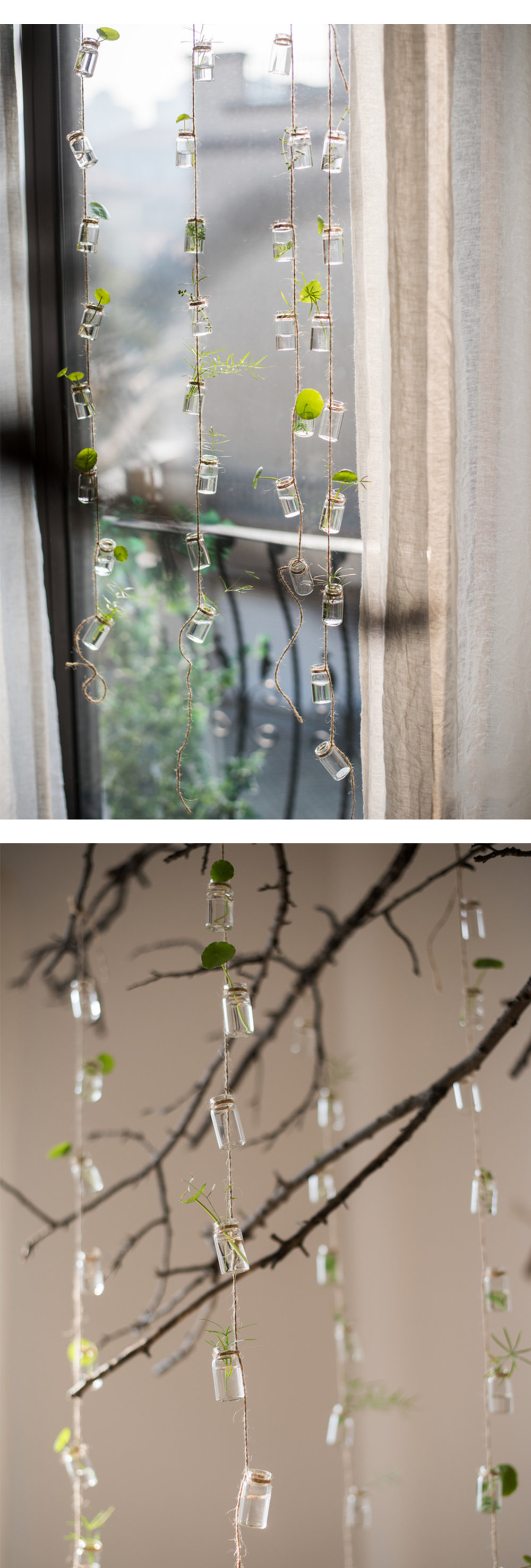 Hanging Glass Bottles - Set of 27 - Easy to Hang from Apollo Box