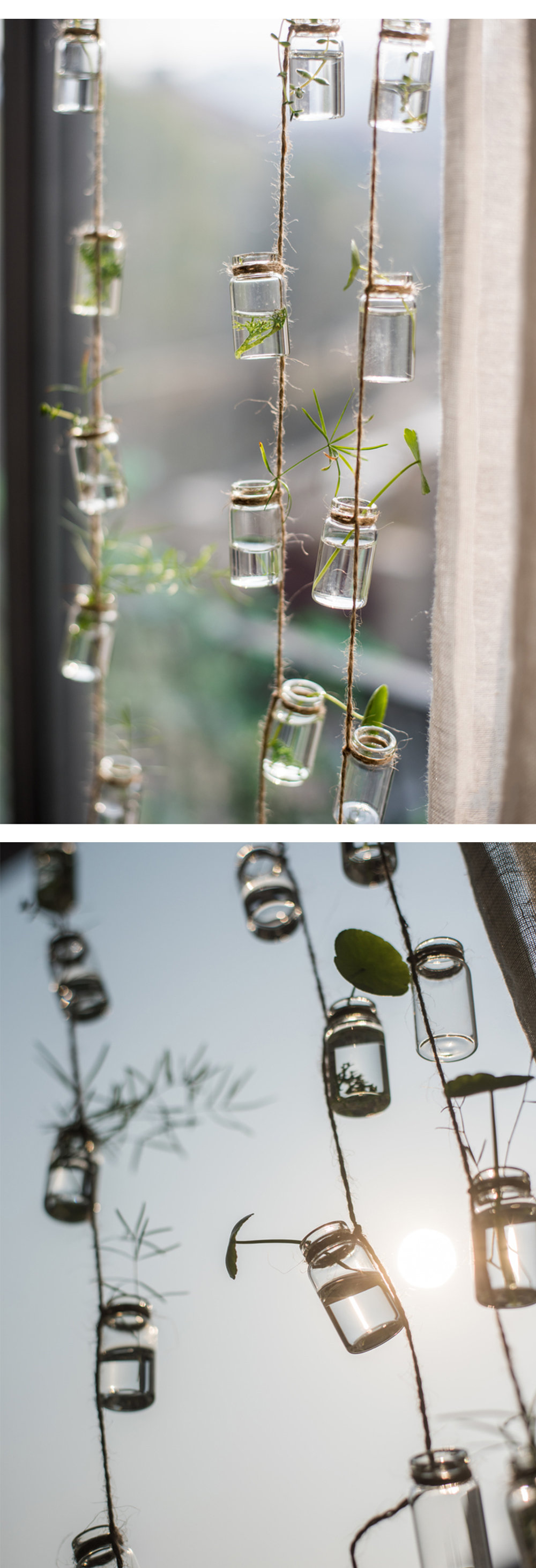 Hanging Glass Bottles - Set of 27 - Easy to Hang from Apollo Box