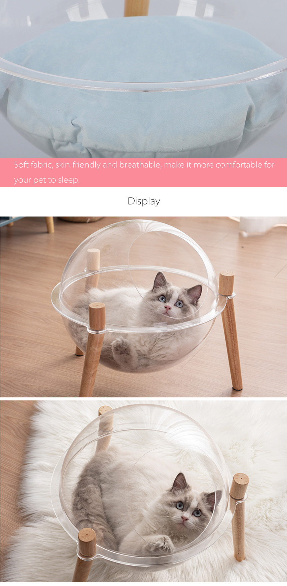 space cat bed
