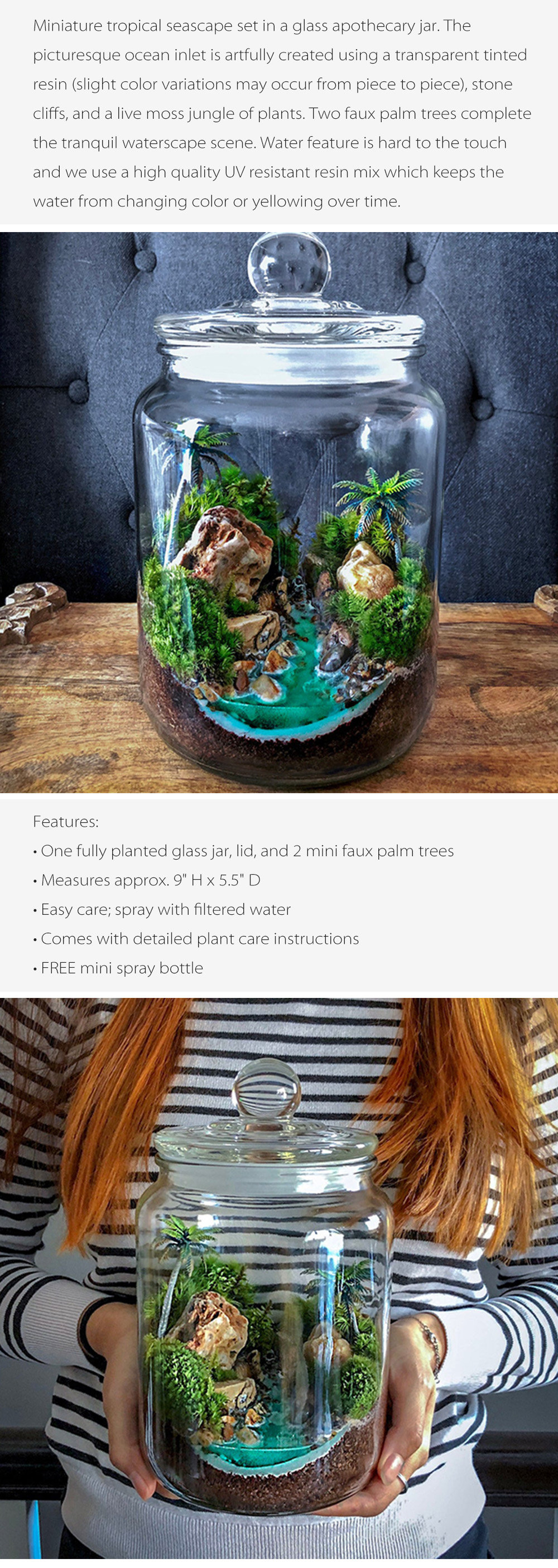 Hawaiian Dream Tropical Landscape Terrarium - ApolloBox