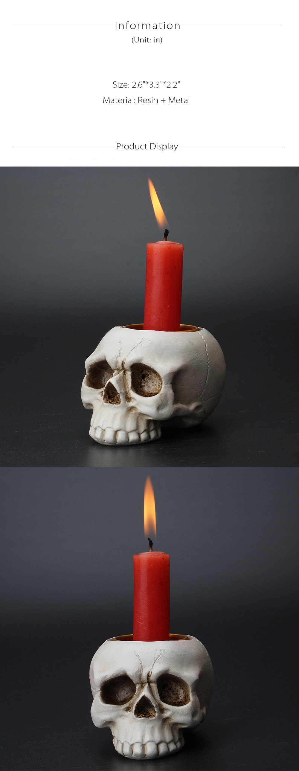 Skull Candle Holder - Halloween Ornament - Resin from Apollo Box