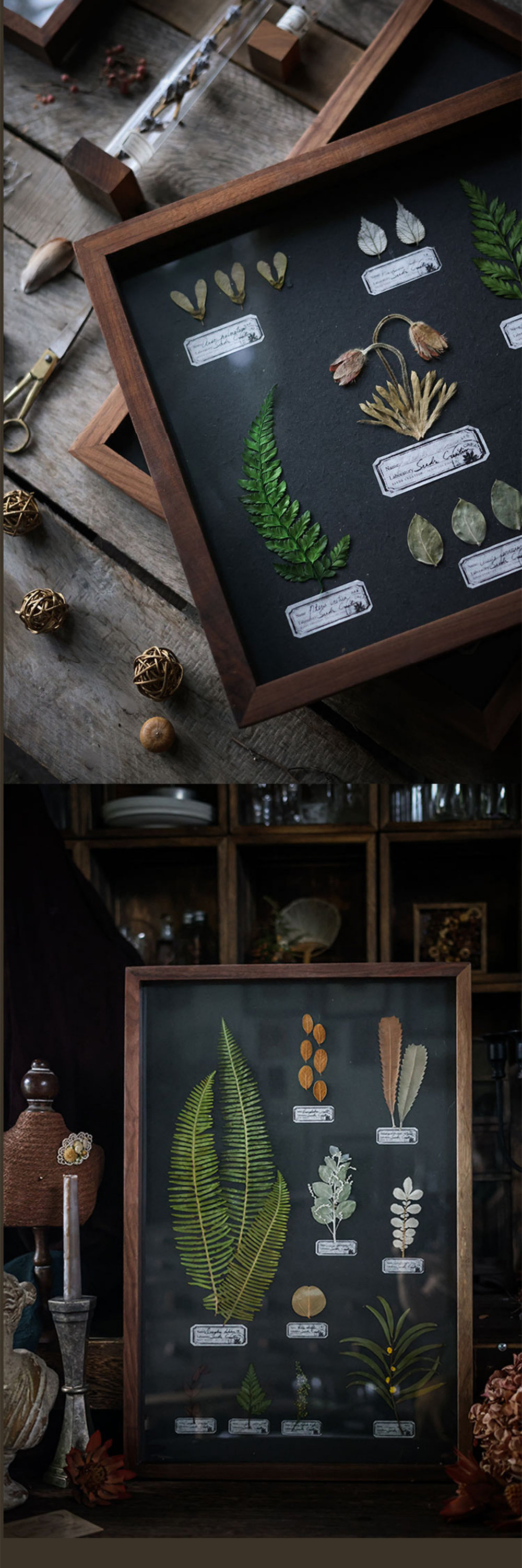 Plant Specimen Inspired Decorative Frame - ApolloBox