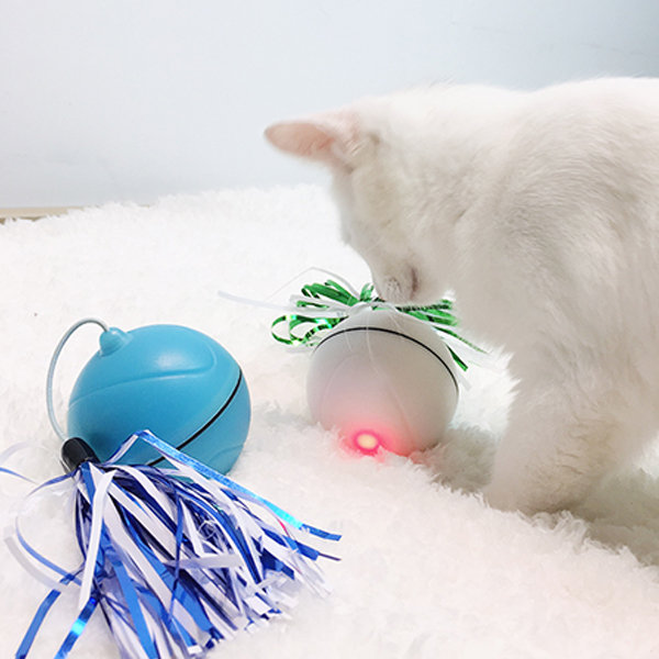 led cat toy