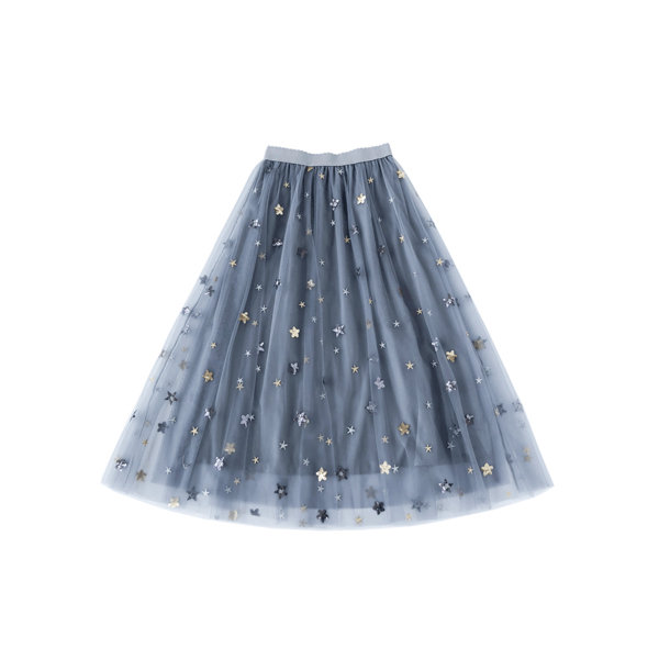 Sparkly Star Embroidered Skirt - ApolloBox