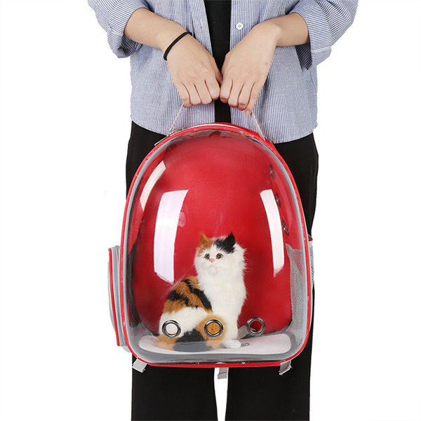 Transparent Pet Backpack - ApolloBox