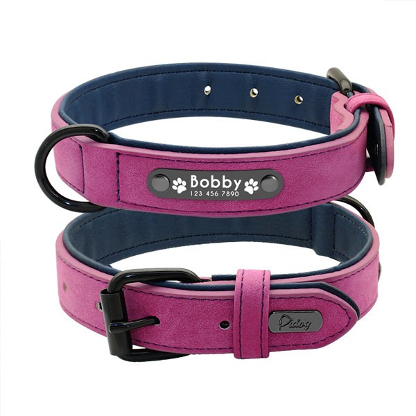 Cute Dog Collar & Tie - ApolloBox