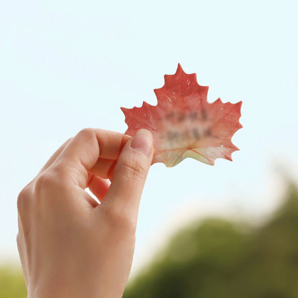 Plant Leaf Sticky Notepad