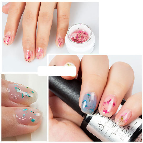 Dried Flower Gel Nail Polish ApolloBox