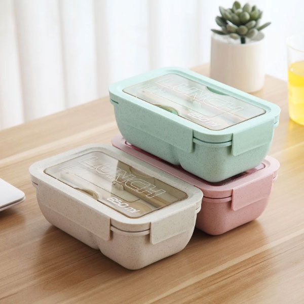 Apollo Insulated Lunch Box: : Daily Life Utility