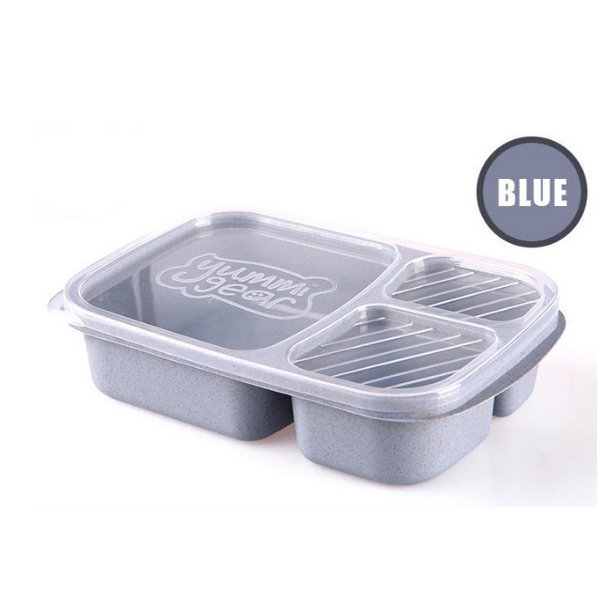Thermal Lunch Box - Stainless Steel - 3 Colors Available - ApolloBox