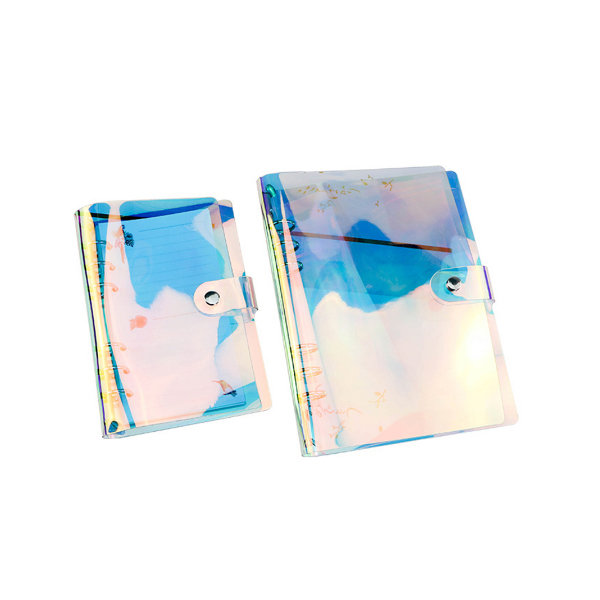 Rainbow Transparent Binder - ApolloBox