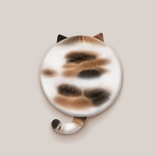 Cat Paw Cushion from Apollo Box