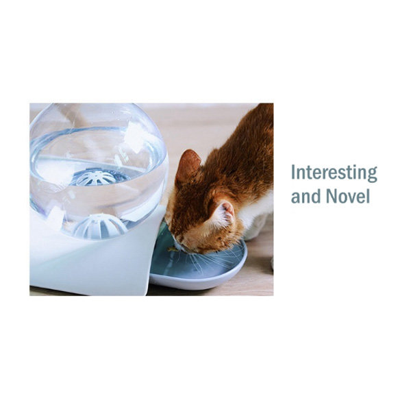 Pet Water Dispenser - ApolloBox