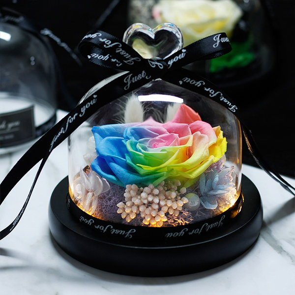 Rose Glass Dome with Lights - ApolloBox