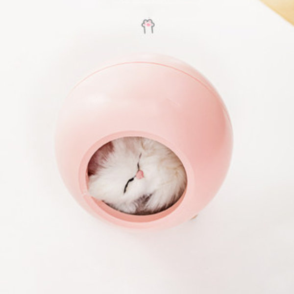 Cat Silhouette Night Light - ApolloBox