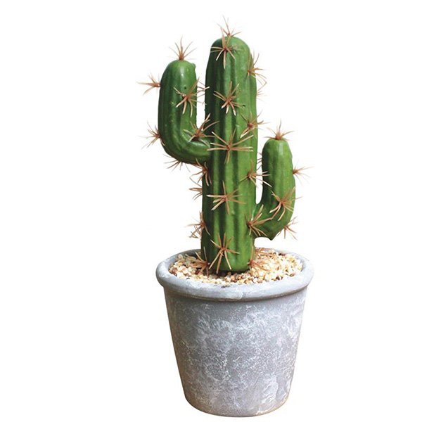 Artificial Cactus ApolloBox   XwJ5mArray 1 (1) 