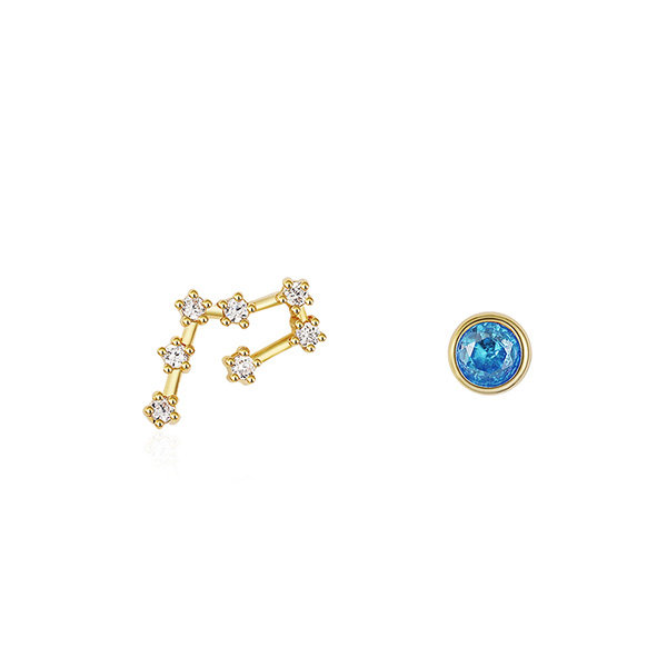 Astrological Fashion Earrings - ApolloBox