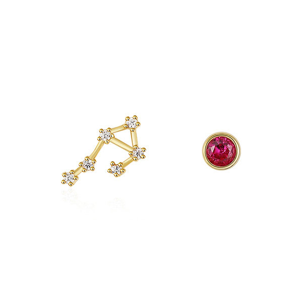 Astrological Fashion Earrings - ApolloBox