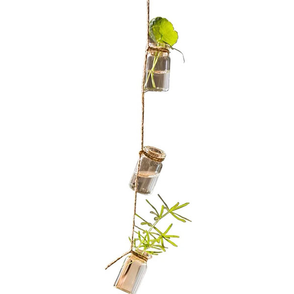 Hanging Glass Bottles - Set of 27 - Easy to Hang from Apollo Box