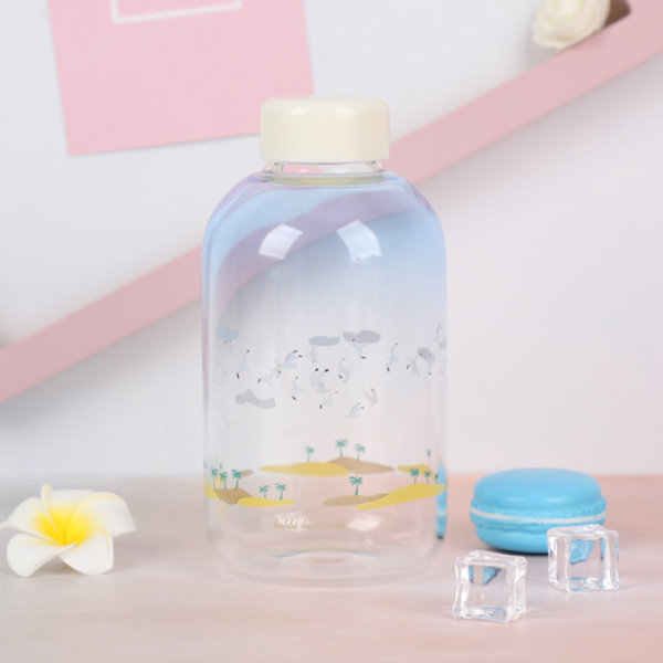 Cute Glass Water Bottle - ApolloBox