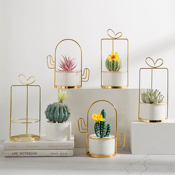 Cactus Jewelry Display Stand - Ceramic - Green - Golden - 4 Colors -  ApolloBox
