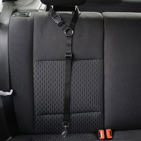 Pet Car Harness - ApolloBox