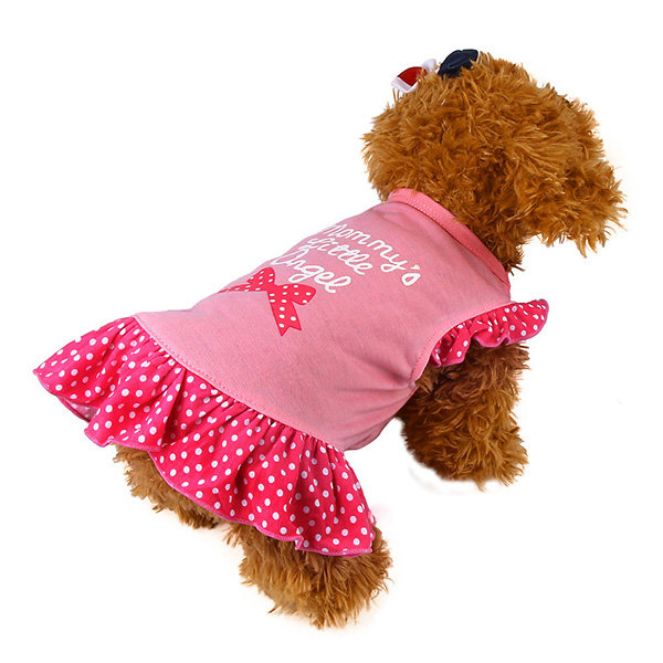 Cute Pet Dress ApolloBox