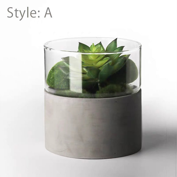 Contemporary-Inspired Cement Glass Planter - ApolloBox