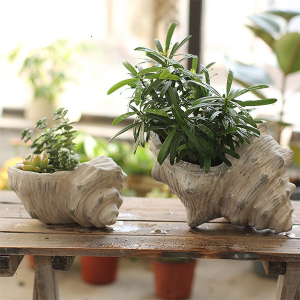 Ceramic Conch Shell Succulent Flower Pot Seashell Planter Plants Decor -  China Ceramic Conch Shell Flower Pot and Conch Shell Flower Pot price