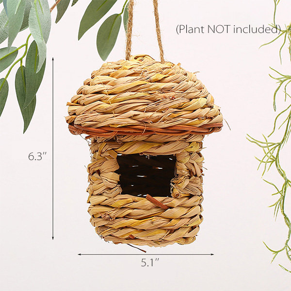 Bird Nest Ornament - ApolloBox