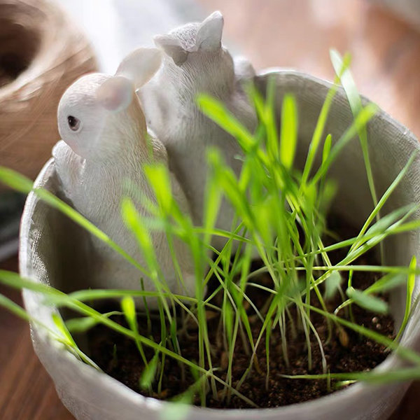 Daydreaming Bunny Statue Decoration - For Easter - Resin from Apollo Box