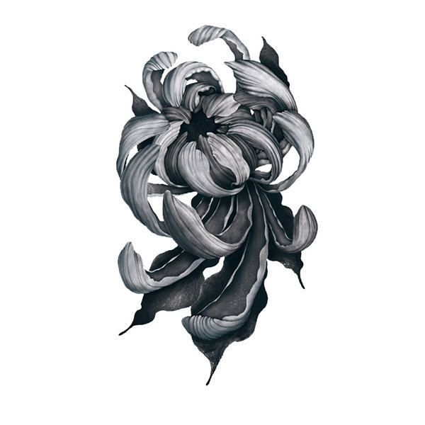 Chrysanthemum temporary tattoo – Ali Chappell-Bates Art