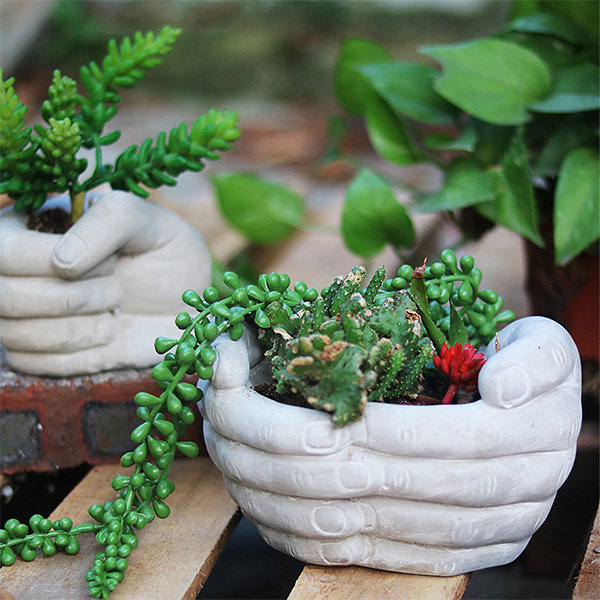 Hand Planters - ApolloBox