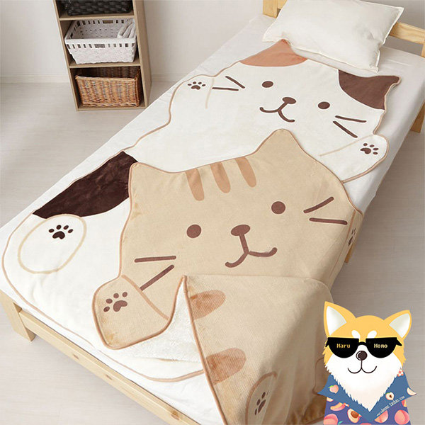 Adorable Cat Blanket from Apollo Box