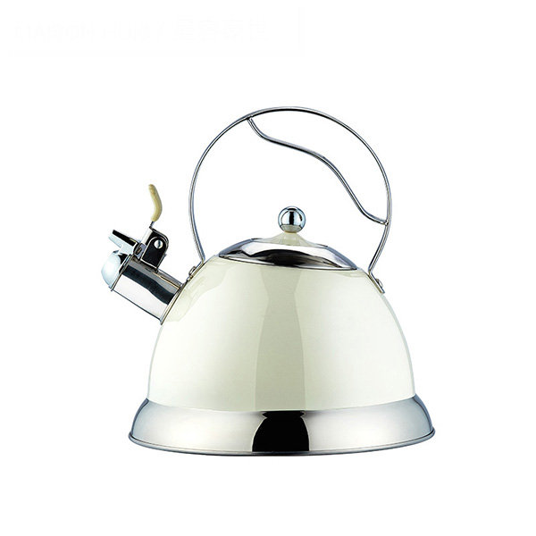 Induction Cooker Whistling Kettle - ApolloBox