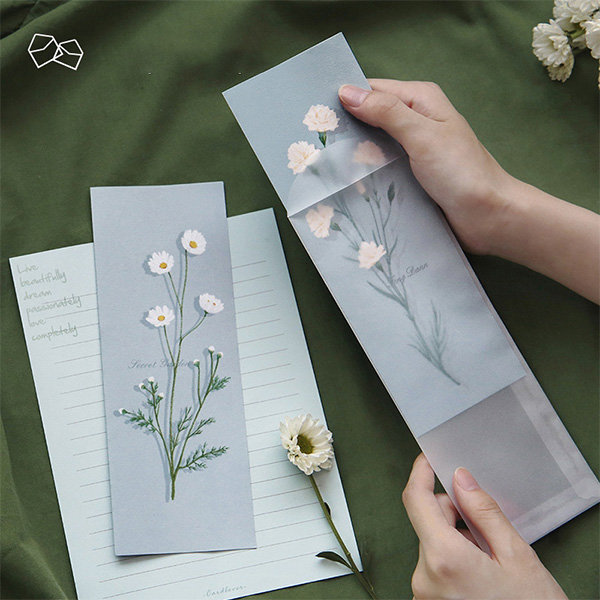 Beautifully Designed Note Paper Set