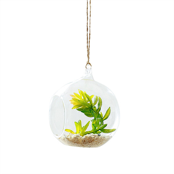 Hanging Glass Plant Bowl