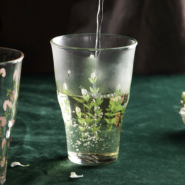Nature Inspiration Drinking Glasses from Apollo Box